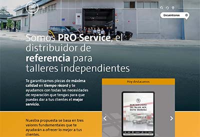Pro Service web